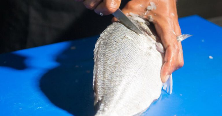 Recipes - A Person Slicing a Fish