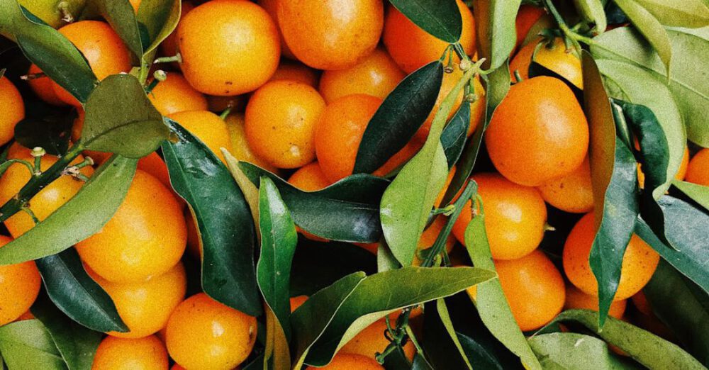 Produce - Photo of Pile Of Oranges