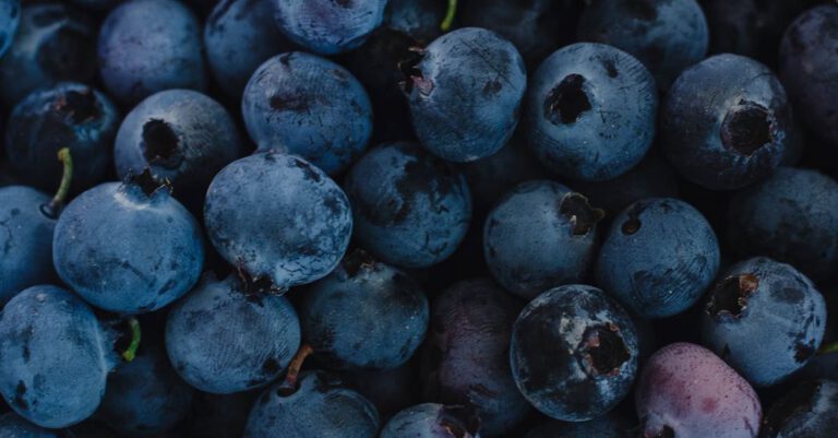 Produce - Close-up Photo of Blueberries