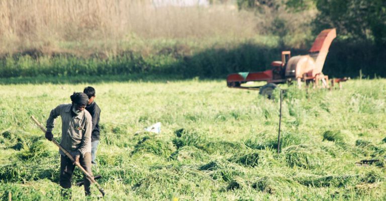 Farmers - Two Men Standing On Green Grass Field