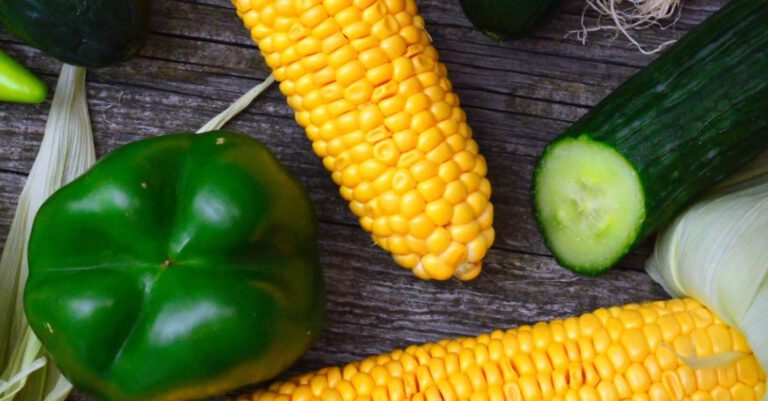 Produce - Three Yellow Corn Cobs, Bell Pepper, Cucumbers and Chili Peppers